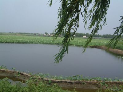 &#24320;&#20113;&#40;&#20013;&#22269;&#41;&#75;&#97;&#105;&#121;&#117;&#110;
